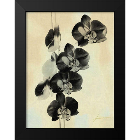 Orchid Blush Panels III Black Modern Wood Framed Art Print by Burghardt, James