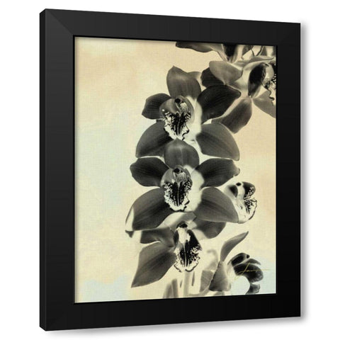 Orchid Blush Panels IV Black Modern Wood Framed Art Print by Burghardt, James