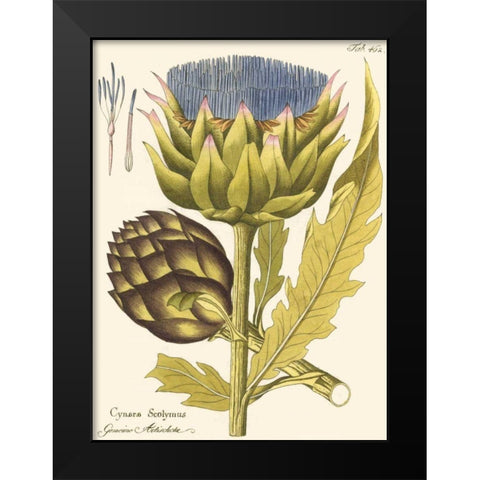 Artichoke, Pl. 462 Black Modern Wood Framed Art Print by Unknown