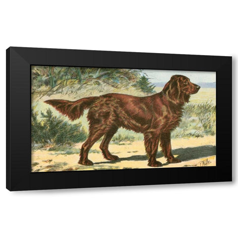 Mans Best Friend I Black Modern Wood Framed Art Print by Unknown