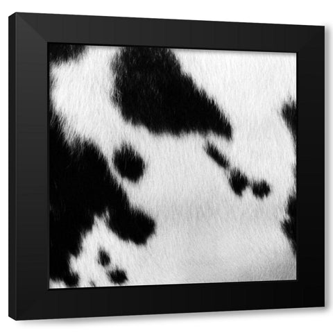 Animal Instinct VI Black Modern Wood Framed Art Print by Vision Studio