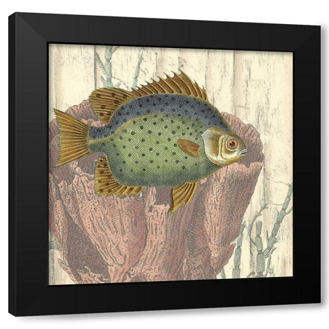 Coastal Montage III Black Modern Wood Framed Art Print by Vision Studio