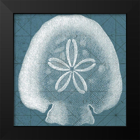 Coastal Menagerie IV Black Modern Wood Framed Art Print by Vision Studio