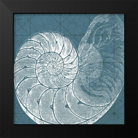 Coastal Menagerie VI Black Modern Wood Framed Art Print by Vision Studio