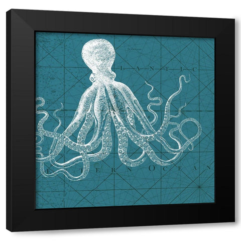 Coastal Menagerie VII Black Modern Wood Framed Art Print with Double Matting by Vision Studio