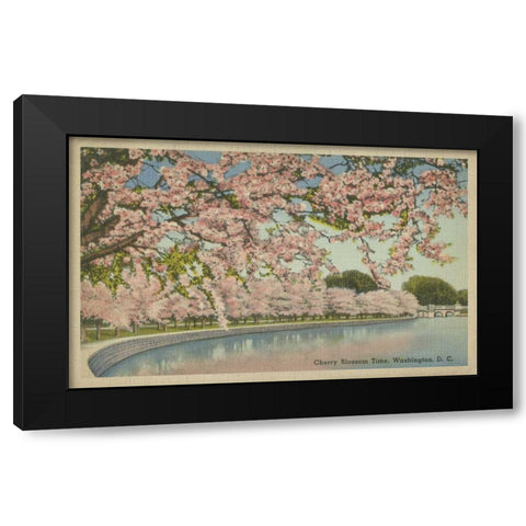 Cherry Blossom Time Black Modern Wood Framed Art Print by Unknown