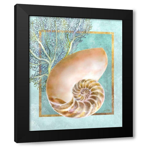 Nautilus Shell and Coral Black Modern Wood Framed Art Print with Double Matting by Schory, Lori