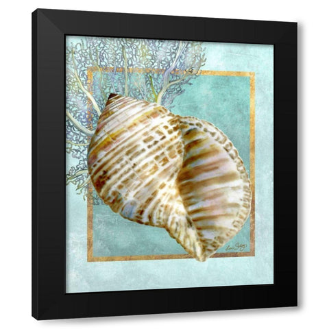 Turban Shell and Coral Black Modern Wood Framed Art Print by Schory, Lori