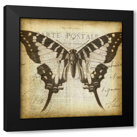 Carte Postale Butterfly I Black Modern Wood Framed Art Print by Goldberger, Jennifer