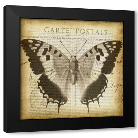 Carte Postale Butterfly II Black Modern Wood Framed Art Print by Goldberger, Jennifer