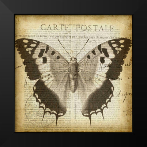 Carte Postale Butterfly II Black Modern Wood Framed Art Print by Goldberger, Jennifer