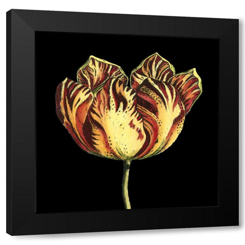 Natural Beauty on Black IV Black Modern Wood Framed Art Print by Vision Studio