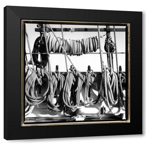 Secure II Black Modern Wood Framed Art Print by DeNardo, Laura