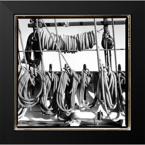 Secure II Black Modern Wood Framed Art Print by DeNardo, Laura