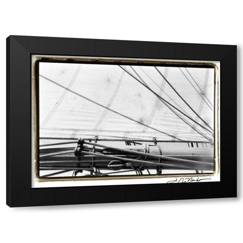 Undersail IV Black Modern Wood Framed Art Print by DeNardo, Laura