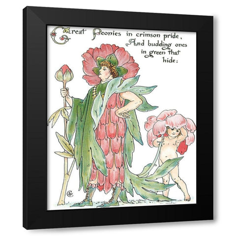 Shakespeares Garden V (Peony) Black Modern Wood Framed Art Print by Crane, Walter