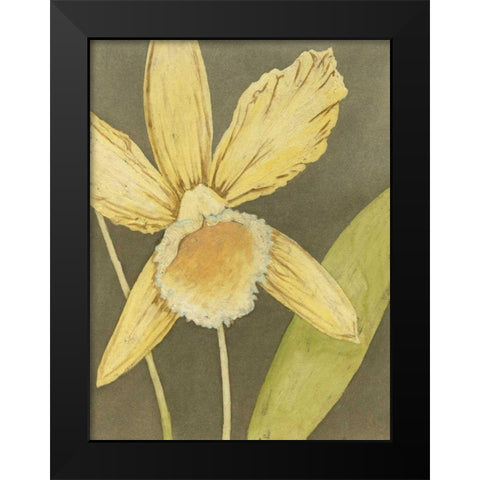 Orchid and Earth I Black Modern Wood Framed Art Print by Meagher, Megan