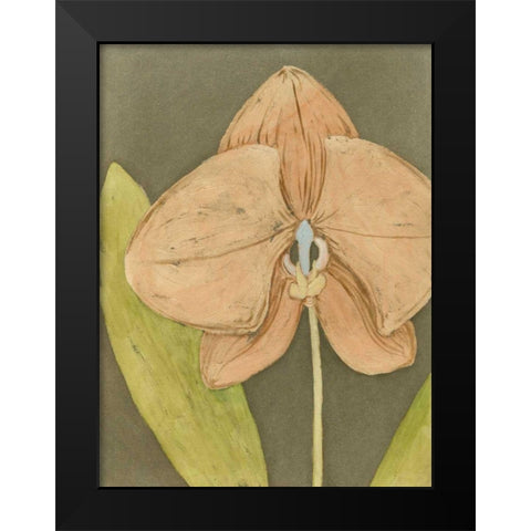 Orchid and Earth IV Black Modern Wood Framed Art Print by Meagher, Megan