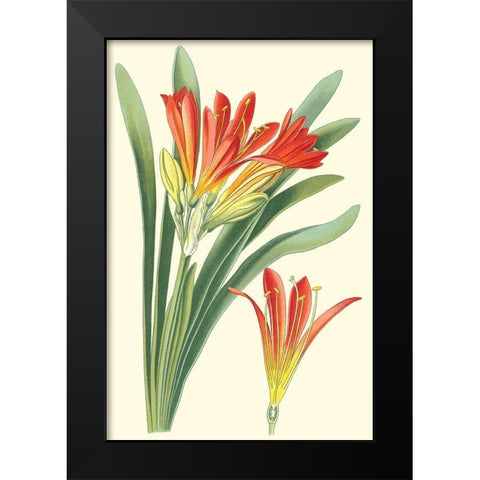 Striking Lilies III Black Modern Wood Framed Art Print by Step, Edward