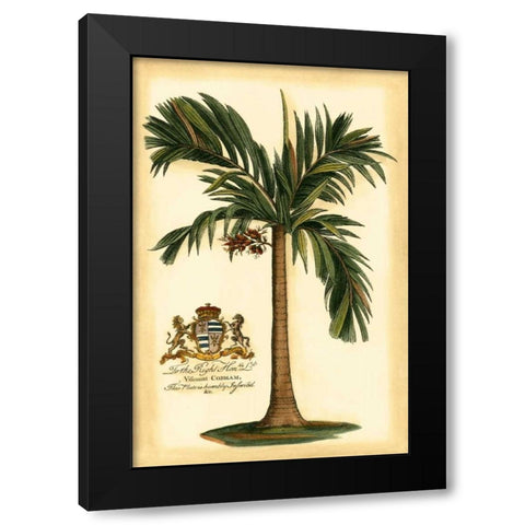 British Colonial Palm I Black Modern Wood Framed Art Print with Double Matting by Vision Studio