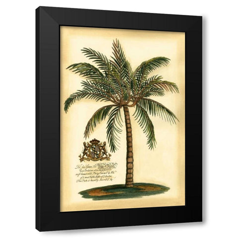 British Colonial Palm III Black Modern Wood Framed Art Print with Double Matting by Vision Studio