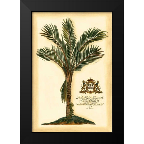 British Colonial Palm IV Black Modern Wood Framed Art Print by Vision Studio