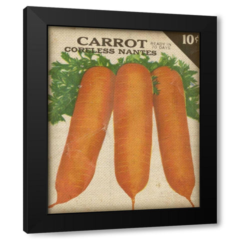 Heirloom Variety II Black Modern Wood Framed Art Print by Fagalde, Jarman