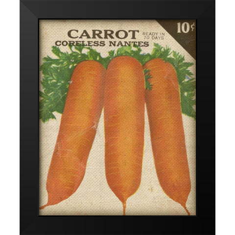 Heirloom Variety II Black Modern Wood Framed Art Print by Fagalde, Jarman