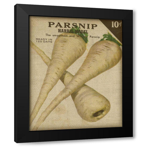 Heirloom Variety IV Black Modern Wood Framed Art Print by Fagalde, Jarman