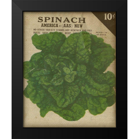 Heirloom Variety VI Black Modern Wood Framed Art Print by Fagalde, Jarman