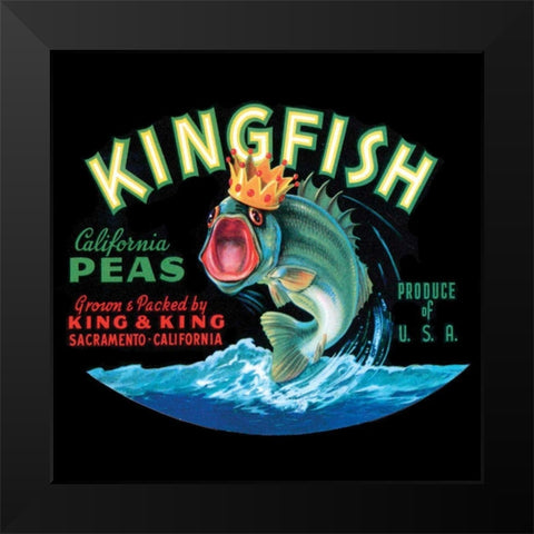 Kingfish Black Modern Wood Framed Art Print by Vision Studio