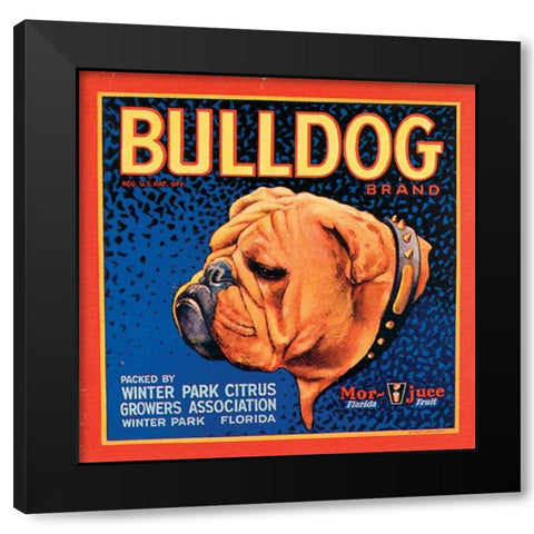 Bull Dog Black Modern Wood Framed Art Print with Double Matting by Vision Studio