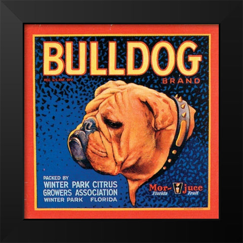 Bull Dog Black Modern Wood Framed Art Print by Vision Studio