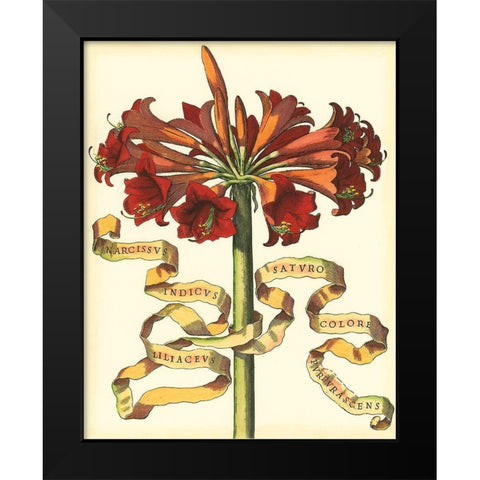 Ribbon Florals I Black Modern Wood Framed Art Print by Vision Studio