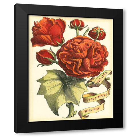Ribbon Florals III Black Modern Wood Framed Art Print by Vision Studio