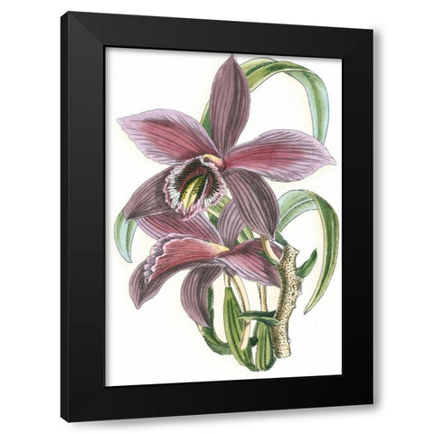 Lilac Orchid I Black Modern Wood Framed Art Print with Double Matting by Vision Studio