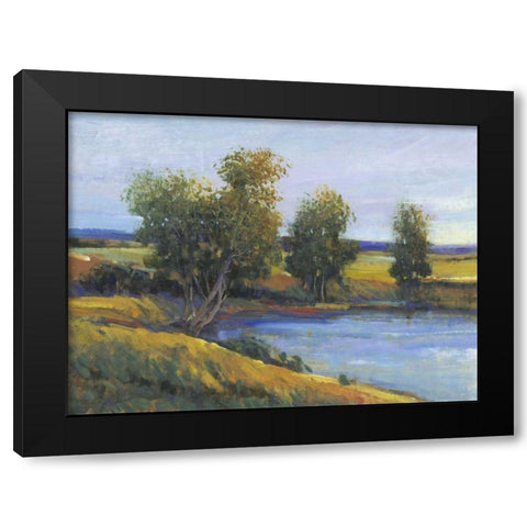 Trees Reflection II Black Modern Wood Framed Art Print with Double Matting by OToole, Tim