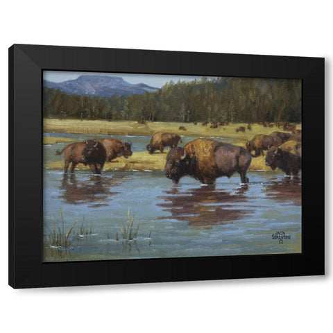 Buffalo Crossing Black Modern Wood Framed Art Print by Sorenson, Jack