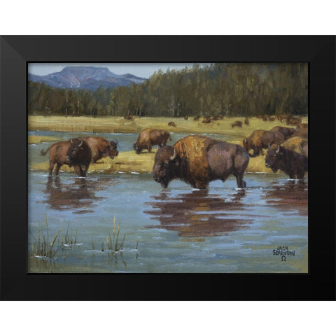 Buffalo Crossing Black Modern Wood Framed Art Print by Sorenson, Jack