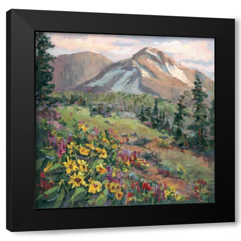 Western Vistas III Black Modern Wood Framed Art Print by Oleson, Nanette