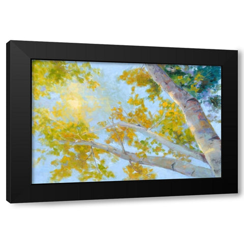 Aspen Canopy Black Modern Wood Framed Art Print by Oleson, Nanette