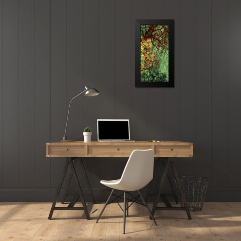 Entangle II Black Modern Wood Framed Art Print by Burghardt, James