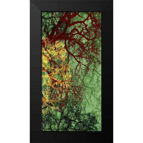 Entangle II Black Modern Wood Framed Art Print by Burghardt, James