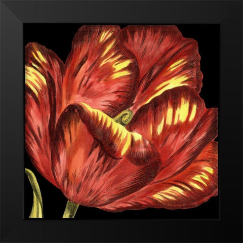 Mini Transitional Tulip I Black Modern Wood Framed Art Print by Vision Studio