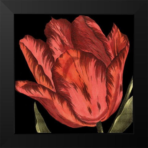 Mini Transitional Tulip II Black Modern Wood Framed Art Print by Vision Studio