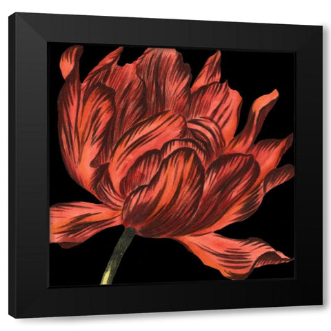 Mini Transitional Tulip IV Black Modern Wood Framed Art Print by Vision Studio