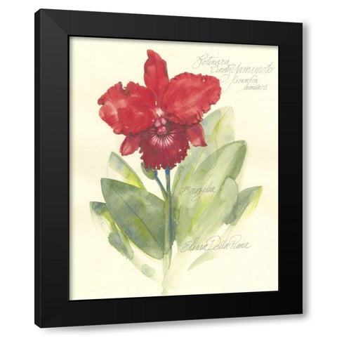 Elissas Garden I Black Modern Wood Framed Art Print by Della-Piana, Elissa