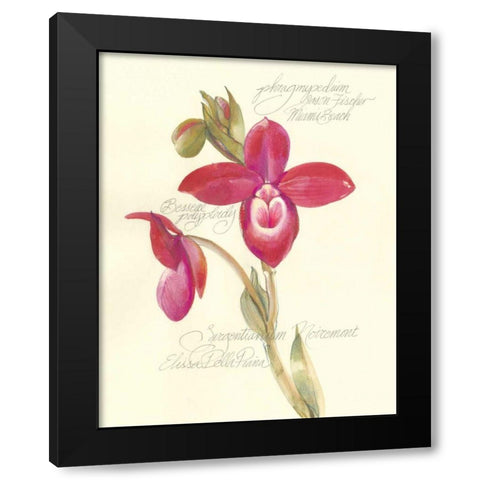 Elissas Garden II Black Modern Wood Framed Art Print by Della-Piana, Elissa