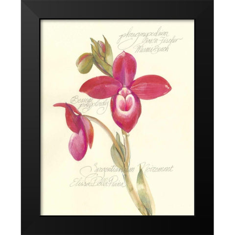 Elissas Garden II Black Modern Wood Framed Art Print by Della-Piana, Elissa