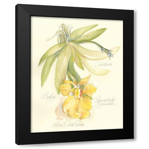 Elissas Garden III Black Modern Wood Framed Art Print by Della-Piana, Elissa